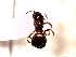  ( - SJU145)  @12 [ ] CreativeCommons - Attribution Share-Alike (2016) Unspecified Sang-ji University
