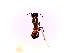  (Camponotus nipponensis - SJU357)  @11 [ ] CreativeCommons - Attribution Share-Alike (2016) Unspecified Sang-ji University