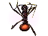  (Polyrhachis armata - SJU753)  @14 [ ] CreativeCommons - Attribution Share-Alike (2016) Unspecified Sang-ji University