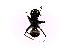  (Colobopsis cylindrica - SJU248)  @12 [ ] CreativeCommons - Attribution Share-Alike (2016) Unspecified Sang-ji University