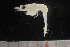  ( - CH760-E05)  @11 [ ] CreativeCommons - Attribution (2019) El Colegio de la Frontera Sur El Colegio de la Frontera Sur