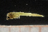  ( - CH761-B05)  @13 [ ] CreativeCommons - Attribution (2019) El Colegio de la Frontera Sur El Colegio de la Frontera Sur