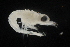  ( - CH761-E10)  @11 [ ] CreativeCommons - Attribution (2019) El Colegio de la Frontera Sur El Colegio de la Frontera Sur