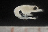  ( - CH761-E10)  @11 [ ] CreativeCommons - Attribution (2019) El Colegio de la Frontera Sur El Colegio de la Frontera Sur