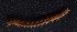  ( - Ann133)  @11 [ ] Unspecified (default): All Rights Reserved  Unspecified Unspecified