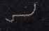  ( - Ann146)  @12 [ ] Unspecified (default): All Rights Reserved  Unspecified Unspecified