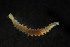  ( - Ann202)  @12 [ ] Copyright (2011) University of Oslo University of Oslo