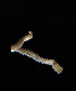  ( - Ann250)  @12 [ ] CreativeCommons - Attribution Non-Commercial Share-Alike (2012) University of Oslo, Natural History Museum University of Oslo, Natural History Museum