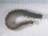  ( - TB546)  @11 [ ] CreativeCommons - Attribution Non-Commercial Share-Alike (2012) NTNU Vitenskapsmuseet NTNU Museum of Natural History and Archaeology