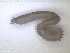  ( - TB548)  @11 [ ] CreativeCommons - Attribution Non-Commercial Share-Alike (2012) NTNU Vitenskapsmuseet NTNU Museum of Natural History and Archaeology