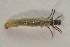  ( - IBSAS-TA5054)  @11 [ ] CreativeCommons  Attribution Non-Commercial Share-Alike (2022) Unspecified Slovak Academy of Sciences, Plant Science and Biodiversity Centre