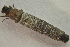  ( - IBSAS-TA5112)  @11 [ ] CreativeCommons  Attribution Non-Commercial Share-Alike (2022) Unspecified Slovak Academy of Sciences, Plant Science and Biodiversity Centre