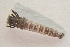  ( - IBSAS-TA5250)  @11 [ ] CreativeCommons  Attribution Non-Commercial Share-Alike (2022) Unspecified Slovak Academy of Sciences, Plant Science and Biodiversity Centre