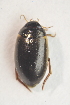  ( - IBSAS-TA3418)  @13 [ ] CreativeCommons  Attribution Non-Commercial Share-Alike (2017) Unspecified Slovak Academy of Sciences, Plant Science and Biodiversity Centre