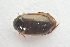  ( - IBSAS-TA3460)  @11 [ ] CreativeCommons  Attribution Non-Commercial Share-Alike (2018) Unspecified Slovak Academy of Sciences, Plant Science and Biodiversity Centre