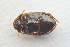  ( - IBSAS-TA3460)  @11 [ ] CreativeCommons  Attribution Non-Commercial Share-Alike (2018) Unspecified Slovak Academy of Sciences, Plant Science and Biodiversity Centre