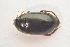  ( - IBSAS-TA3526)  @11 [ ] CreativeCommons  Attribution Non-Commercial Share-Alike (2018) Unspecified Slovak Academy of Sciences, Plant Science and Biodiversity Centre