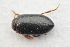  ( - IBSAS-TA3766)  @11 [ ] CreativeCommons  Attribution Non-Commercial Share-Alike (2018) Unspecified Slovak Academy of Sciences, Plant Science and Biodiversity Centre
