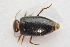  ( - IBSAS-TA3814)  @11 [ ] CreativeCommons  Attribution Non-Commercial Share-Alike (2018) Unspecified Slovak Academy of Sciences, Plant Science and Biodiversity Centre