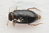  ( - IBSAS-TA3815)  @11 [ ] CreativeCommons  Attribution Non-Commercial Share-Alike (2018) Unspecified Slovak Academy of Sciences, Plant Science and Biodiversity Centre