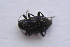  ( - IBSAS-TA3895)  @11 [ ] CreativeCommons  Attribution Non-Commercial Share-Alike (2018) Unspecified Slovak Academy of Sciences, Plant Science and Biodiversity Centre