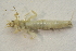  ( - IBSAS-BC3017)  @11 [ ] CreativeCommons  Attribution Non-Commercial Share-Alike (2020) Patrik Macko Slovak Academy of Sciences, Plant Science and Biodiversity Centre