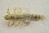  ( - IBSAS-BC3018)  @11 [ ] CreativeCommons  Attribution Non-Commercial Share-Alike (2020) Patrik Macko Slovak Academy of Sciences, Plant Science and Biodiversity Centre