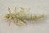  ( - IBSAS-BC3018)  @11 [ ] CreativeCommons  Attribution Non-Commercial Share-Alike (2020) Patrik Macko Slovak Academy of Sciences, Plant Science and Biodiversity Centre