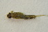  ( - IBSAS-BC3057)  @11 [ ] CreativeCommons  Attribution Non-Commercial Share-Alike (2020) Patrik Macko Slovak Academy of Sciences, Plant Science and Biodiversity Centre