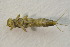  ( - IBSAS-BC3065)  @11 [ ] CreativeCommons  Attribution Non-Commercial Share-Alike (2020) Patrik Macko Slovak Academy of Sciences, Plant Science and Biodiversity Centre