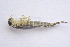  ( - IBSAS-BC1810)  @11 [ ] CreativeCommons  Attribution Non-Commercial Share-Alike (2020) Patrik Macko Slovak Academy of Sciences, Plant Science and Biodiversity Centre