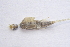  ( - IBSAS-BC1852)  @11 [ ] CreativeCommons  Attribution Non-Commercial Share-Alike (2020) Patrik Macko Slovak Academy of Sciences, Plant Science and Biodiversity Centre