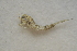  ( - IBSAS-BC2787)  @11 [ ] CreativeCommons  Attribution Non-Commercial Share-Alike (2020) Patrik Macko Slovak Academy of Sciences, Plant Science and Biodiversity Centre