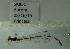  ( - SK051)  @12 [ ] Unspecified (default): All Rights Reserved (2015) Unspecified Unspecified