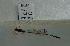  ( - SK134)  @11 [ ] Unspecified (default): All Rights Reserved (2015) Unspecified Unspecified