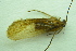  ( - IBSAS-BC4499)  @11 [ ] CreativeCommons  Attribution Non-Commercial Share-Alike (2022) Unspecified Slovak Academy of Sciences, Plant Science and Biodiversity Centre