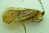  ( - IBSAS-BC4502)  @11 [ ] CreativeCommons  Attribution Non-Commercial Share-Alike (2022) Unspecified Slovak Academy of Sciences, Plant Science and Biodiversity Centre
