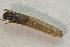  ( - IBSAS-BC4239)  @11 [ ] CreativeCommons  Attribution Non-Commercial Share-Alike (2022) Unspecified Slovak Academy of Sciences, Plant Science and Biodiversity Centre