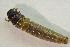  ( - IBSAS-BC4261)  @11 [ ] CreativeCommons  Attribution Non-Commercial Share-Alike (2022) Unspecified Slovak Academy of Sciences, Plant Science and Biodiversity Centre