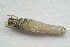  ( - IBSAS-BC0580)  @11 [ ] CreativeCommons  Attribution Non-Commercial Share-Alike (2017) Unspecified Slovak Academy of Sciences, Plant Science and Biodiversity Centre