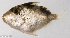  ( - SC025-008)  @11 [ ] Copyright (2020) Unspecified OCEA Consult