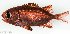  ( - SC180-001)  @11 [ ] Copyright (2021) Unspecified OCEA Consult