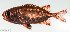  ( - SC186-006)  @11 [ ] Copyright (2021) Unspecified OCEA Consult