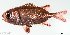  ( - SC189-003)  @11 [ ] Copyright (2021) Unspecified OCEA Consult
