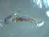  ( - SE1704-472-10-3)  @11 [ ] No Rights Reserved (2019) NA Pacific Islands Fisheries Science Center