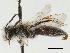  ( - CCDB-34953-A04)  @11 [ ] CreativeCommons - Attribution (2019) CBG Photography Group Centre for Biodiversity Genomics