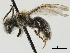  ( - CCDB-34953-A08)  @11 [ ] CreativeCommons - Attribution (2019) CBG Photography Group Centre for Biodiversity Genomics