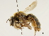  ( - CCDB-34953-A11)  @11 [ ] CreativeCommons - Attribution (2019) CBG Photography Group Centre for Biodiversity Genomics