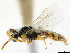 ( - CCDB-34953-D07)  @11 [ ] CreativeCommons - Attribution (2019) CBG Photography Group Centre for Biodiversity Genomics