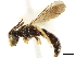  ( - CCDB-34953-E01)  @11 [ ] CreativeCommons - Attribution (2019) CBG Photography Group Centre for Biodiversity Genomics